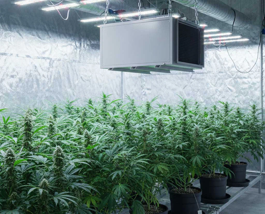 Greenhouse Grow Room Dehumidifier Greenhouse Grow Room Dehumidifier